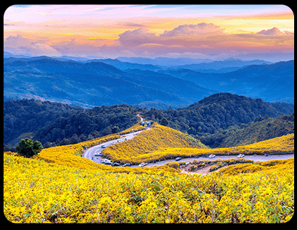 Cinematic Picture Quality 4K Ultra High Definition