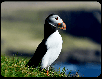 Ultimate Contrast Dolby Vision