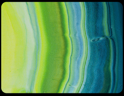 Captivating Colours Dolby Vision 