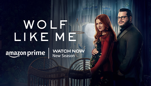 Amazon Prime watchlist